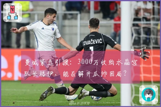 曼城紧急引援：3000万收购水晶宫队长格伊，能否解开瓜帅困局？