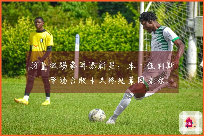 羽量级踢拳再添新星，本·伍利斯初登场击败卡夫终结莱因克尔!