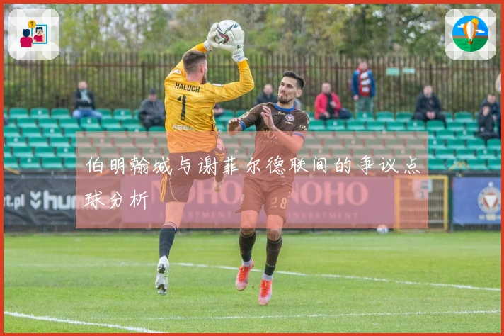 伯明翰城与谢菲尔德联间的争议点球分析
