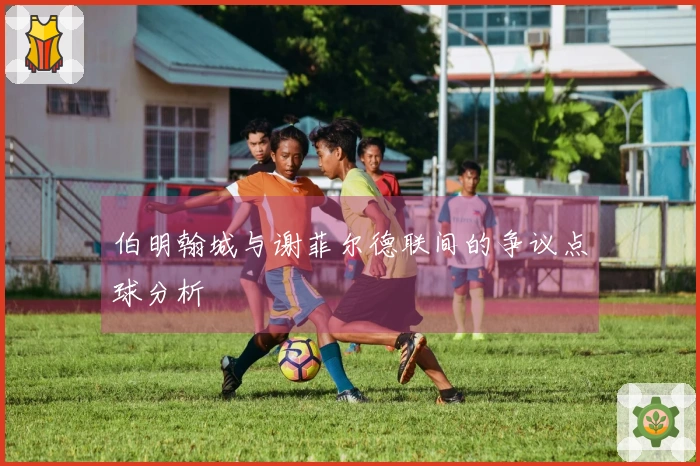 伯明翰城与谢菲尔德联间的争议点球分析